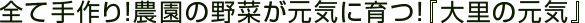 全て手作り!農園の野菜が元気に育つ!『大里の元気』
